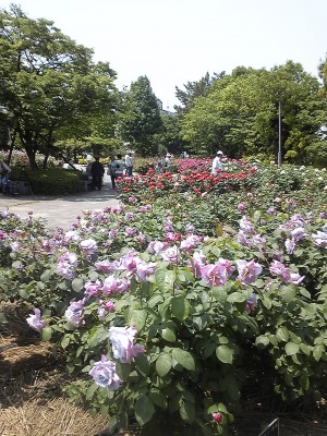 DVC00074.JPG