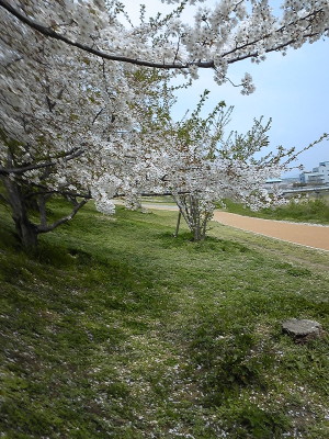 DVC00005.JPG